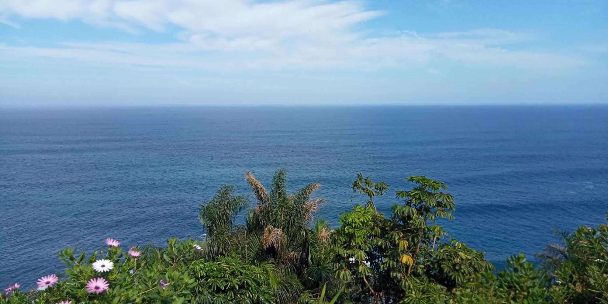 Atlantic Paradise *